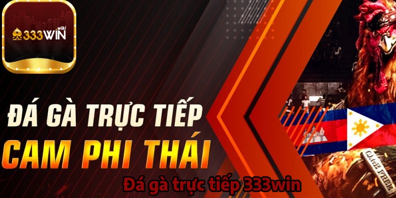 Đá gà trực tiếp Cam - Phi - Thái